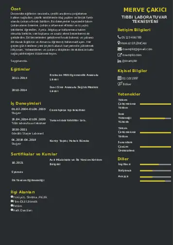 Laboratuvar Teknisyeni Cv Örnekleri cv indir